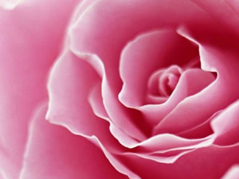 Linfedema, edema e câncer de mama: outubro rosa